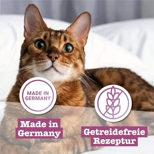 catz finefood Classic Collection Katzenfutter nass XXL Mix-Paket - Gourmet Nassfutter für Ihre Katze ohne Zucker & Getreide, glutenfrei - mit hohem Fleischanteil, Made in Germany (12 x 400g Dosen)