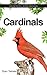 Cardinals (Backyard Bird Series)