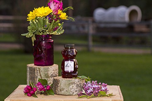 Montana Huckleberry Clover Honey Bear - 12 Oz Squeeze Bottle Grown & Hand Picked In The Wild From Bounty Foods All Natural - Non-Gmo - Vegan Friendly Use In Coffee Or For Breakfast (Hk Honey 12Oz) #TOP1