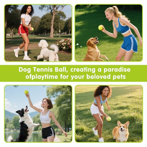 PHOEPET 6-Pack Tennis Balls for Beginner Training Practice- Bulk Dog Balls - image 6