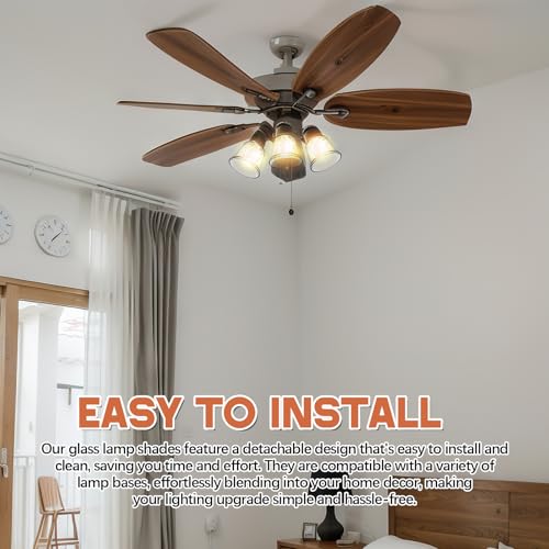 Image of Teenyyou 4 Pcs Clear Glass Globes for Ceiling Fan Lights Covers Glass Lamp Shade Replacement for E26 Chandelier Table Wall Sconce, 2-1 /8 inch Fitter, 4-5 /8 inch Diameter x 4-1 /2 inch Height