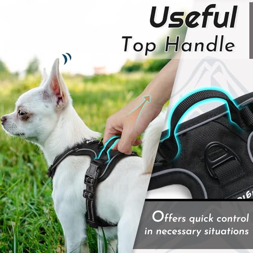 Image of Eagloo Dog Harness for Small Dogs, No Pull Pet Vest with 2 Leash Clips