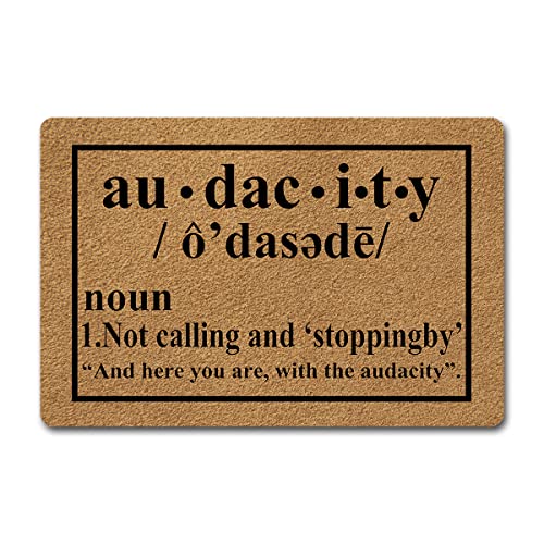 Yyyami 24 * 16inches Funny Doormats Audacity Definition Indoor Floor