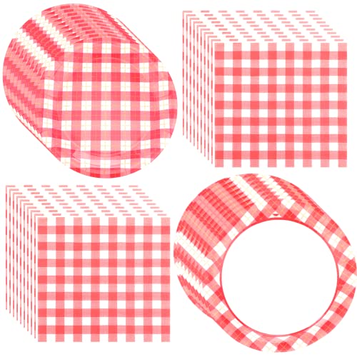 400 Red Gingham Party Supplies, Including 100 9 Inch Plates 100 7 Inch Plate and 200 Disposable Paper Luncheon Napkins Red and White Checkered Gingham Dinner Plates for BBQ Picnic Birthday Party 400 Red Gingham Party Supplies, Including 100 9 Inch Plates 100 7 Inch Plate and 200 Disposable Paper Luncheon Napkins Red and White Checkered Gingham Dinner Plates for BBQ Picnic Birthday Party
