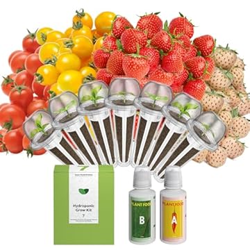 best hydroponic system for strawberries