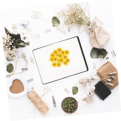 96 Flores Margaritas Secas Prensadas para Manualidades miniatura 5