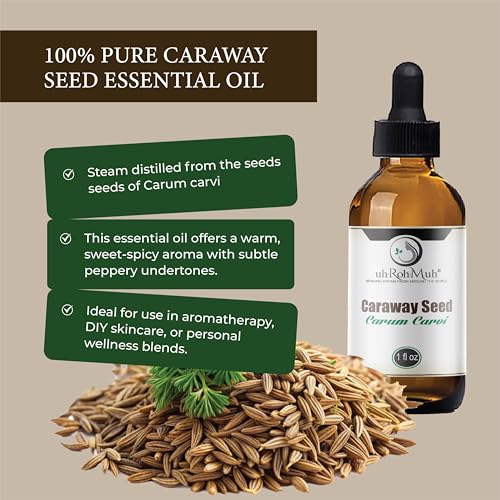 Aceite Esencial de Semilla de Alcaravea 1 Fl Oz miniatura 2