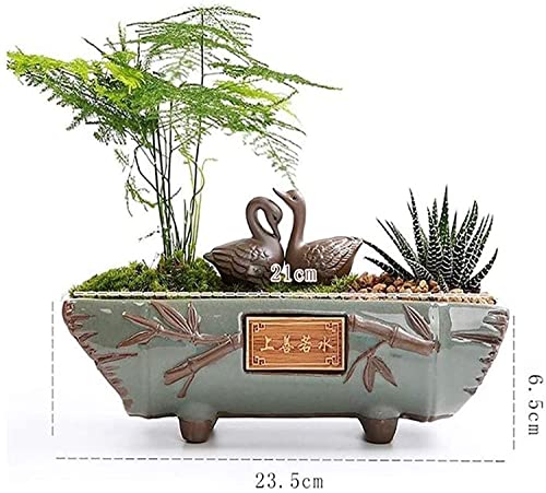 Pot à bonsaï rectangulaire pour plantes vertes et succulentes d'intérieur - 3
