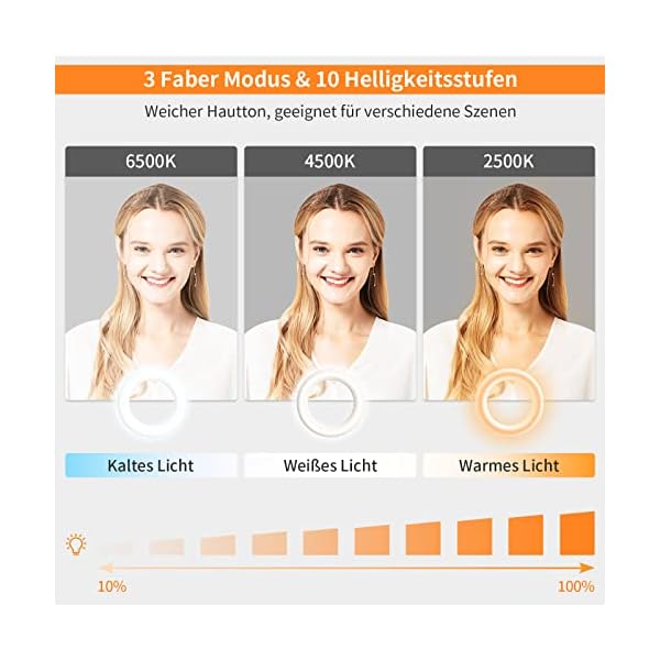 Ring Light Laptop, 8“ Videokonferenz Licht mit Clip&Stativ, 66Pcs LEDs, mit3 Farbe und 10Helligkeit Ring Lightfür Video… – Bild 3