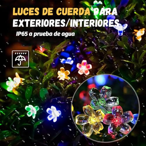 Impermeabilizante para cadenas 2 Imagen adicional