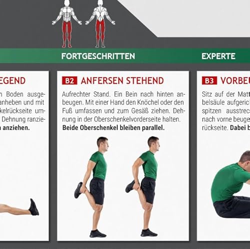 intensic SPORTS Póster Estiramiento + Movility | 60 ejercicios de fitness para estiramiento y movilidad, más movilidad sin dispositivo para gimnasio en casa, peso corporal - imagen 5