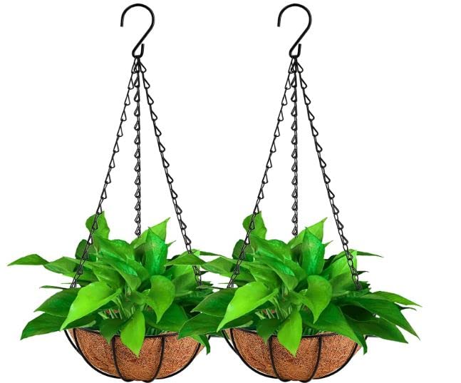 See full amazon price history chart for Tim Tim Agro 2 Pack 11.75" Metal Hanging Flower Pots Hanging Planters Plant Basket with Coco Fiber Liners Tim Tim Agro 2 Pack 11.75" Metal Hanging Flower Pots Hanging Planters Plant Basket with Coco Fiber Liners (B0B3JVLLLR) Amazon Price History, Amazon Price Tracker
