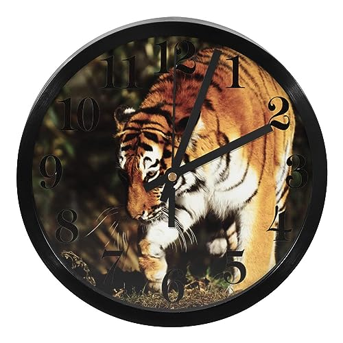 ^CK[  g  |v 25cm Ǌ|  k É Abj 吔₷ Q  Lb` JtF  ǎv dr܂݂܂