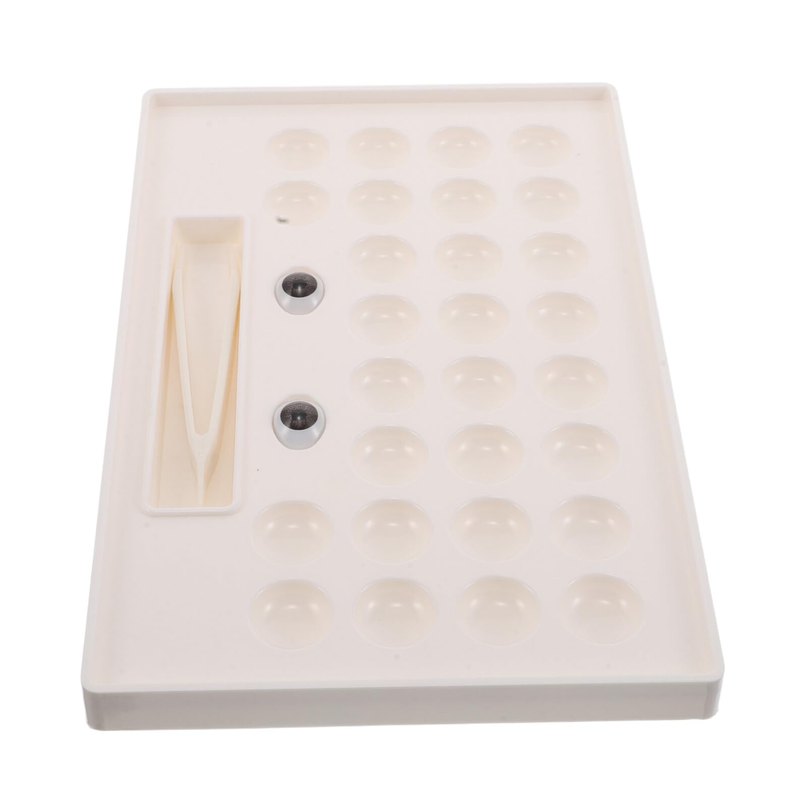 Scatola Porta Lenti Colorate Piccola Display Trasparente per Conservazione e Viaggio Organizer Lenti Contatto con Scomparti Separati per Uso Quotidiano e Eventi