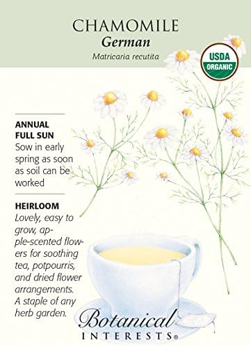 German Chamomile Seeds - 250 milligrams - Certified Organic