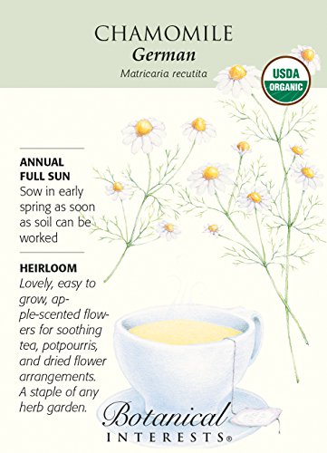 German Chamomile Seeds - 250 Milligrams - Certified Organic #TOP3
