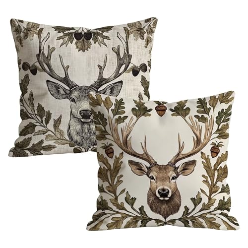 �N�b�V�����J�o�[ 2���Z�b�g 55x55cm ���F �� �p�^�[�� ���z�c�J�o�[ �x���x�b�g ���� ��������񂩂΁[ �V���v�� �B���t�@�X�i�[ �_�炩�� �\�t�@�w���� ���ʈ���f�U�C�� �ƒ둕�� �� �w���� ���� �l�G�ʗp t9n-54