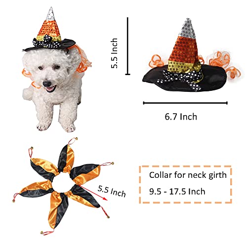 ANIAC Conjunto de chapéu e coleira de bruxa para animais de estimação com peruca, acessório de cabeç