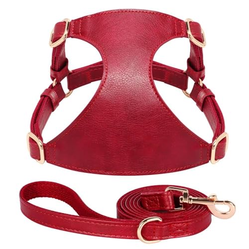 Set Di Pettorina E Guinzaglio Per Cani In Vera Pelle Morbida Set Di Pettorina E Guinzaglio Per Addestramento Per Caccia Da Campeggio Per Animali Domestici Di Piccola E Media Taglia Adatto A