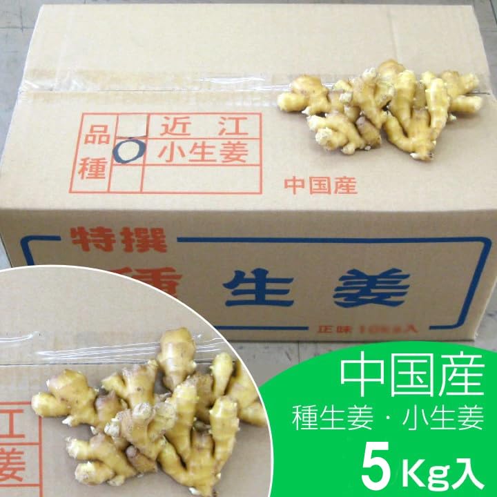 Amazon.co.jp: 種生姜 中国産小生姜5kg : DIY・工具・ガーデン