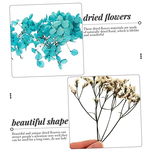 Kit de Flores Secas para Manualidades y Decoración Natural miniatura 5