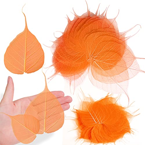 Hojas Skeleton Bodhi Naranja Secas 42 Piezas para Resina miniatura 1