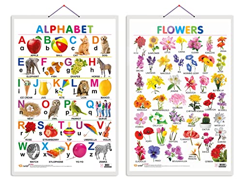 Image of GO WOO Combo of 2 Alphabet and Flowers Educational Posters for Preschool Kids Classroom Study | Learning- Charts for Kids Learning (20 inchX30 inch Inches)