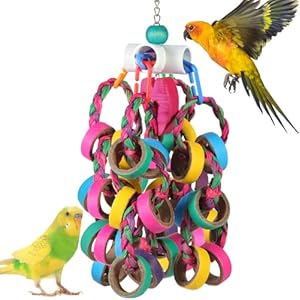 lovyoCoCo Bird Toys Conure Toys,Bird Parrot Foraging Shredder 24 Pcs Colorful Bagel Chewy Rings for Small Parrots Parakeets Conures Cockatiels Love Bird Cage Accessies (White)