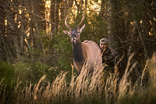 Montana Decoy Spike Elk, Brown