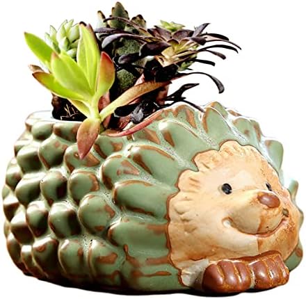EatingBiting Igel-Sukkulenten-Übertopf Aus Keramik – Handgefertigter Mini-Blumentopf Für Zuhause & Büro