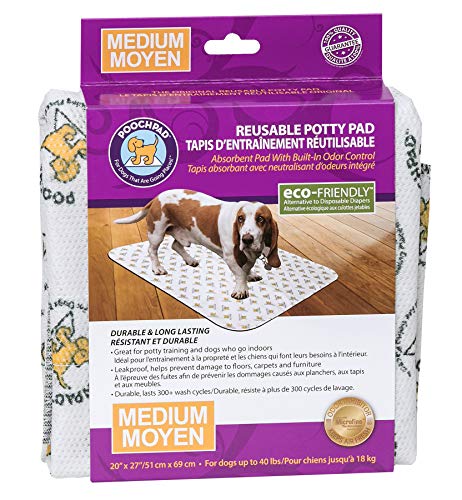 Tapis Proprete Chien