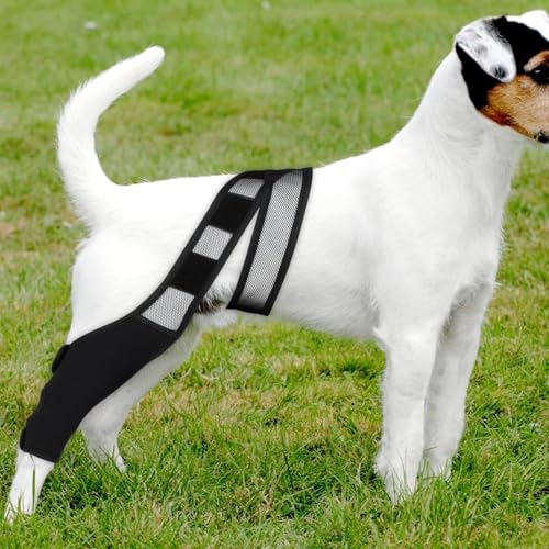 PARFCO Leckschutz Hund Hinterbein, Hunde Kniebandage Hinterbein für Vorder und Hinterbeine, Schwarz Leckschutz Hinterbein Hund für Ellbogenschutz Stütze, XL