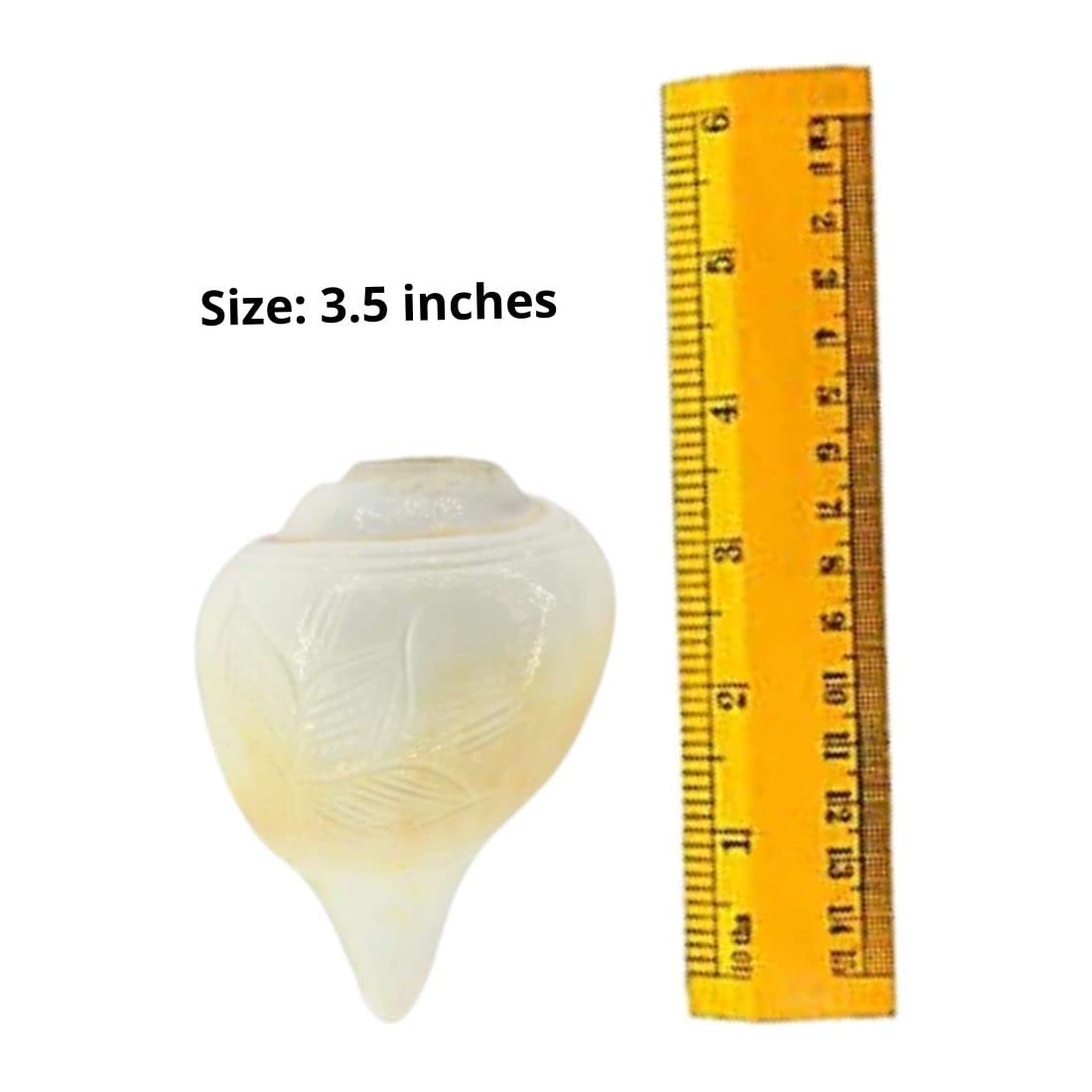 Indian Collectible Puuja-Schäfchen für Puja, Größe: 8,9 cm (klein)