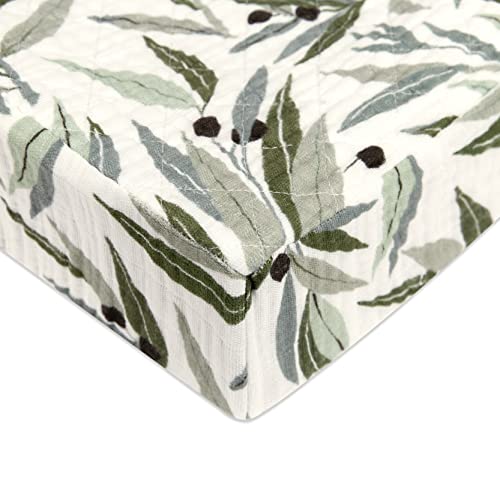 Image of Babyletto 100% Quilted Organic Cotton Changing Pad Cover, GOTS-Certified, Fitted 360°, Ultra-Soft and Breathable Muslin - Olive Branches