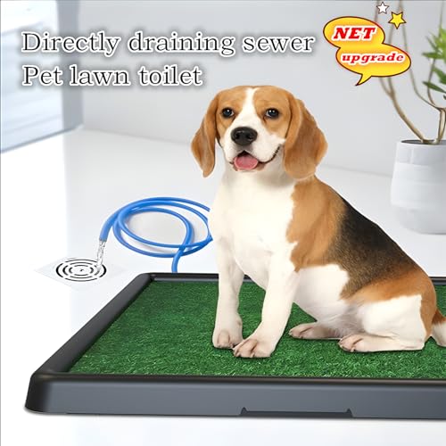 Portable Drainage Pet Urinal,Toilet,Grass Mat.,Potty Grass, Urinal Containing, Toilet Substitute,Puppy Turf,Suitable Size for Most Dogs,Dogs Cushions. 25 * 20 * 2 Inches. - Image 3