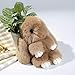 BAOBAO Bunny Fur Rex Rabbit Pompom Ball Doll Pendant Keychain Car Handbag Keyring