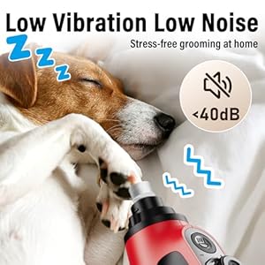 Casfuy Smart 6 Speed Dog Nail Grinder 50 More Power Pet Nail Grinder with 2 LED Lights Quiet Rechargeable Electric Dog Nail Trimmers File Toenail Grinder for Large Medium Small Dogs Cats Red
