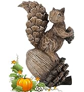 iStatue 10’’ Resin Squirrel Figurine on Acorn, Woodland Animals with Pine Cones Statue for Fall H...