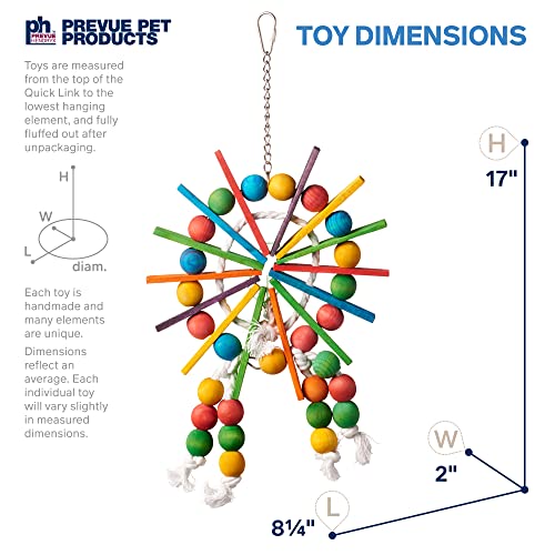 Image of Prevue Pet Products Bodacious Bites Ferris Wheel Bird Toy for Chewing | Accessories for Parakeets, Conures, Cockatiels, and Small to Large Birds, Hanging Cage Toy for Climbing