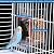 Hamiledyi No Mess Bird Cage Feeder Automatic Parrot Seed Feeders with Perch Acrylic Transparent Seed Food Container Cage Accessories for Small and Medium Parakeets Lovebirds