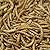 Extra Select Dried Mealworms Wild Bird Feed Treat, 500 ml