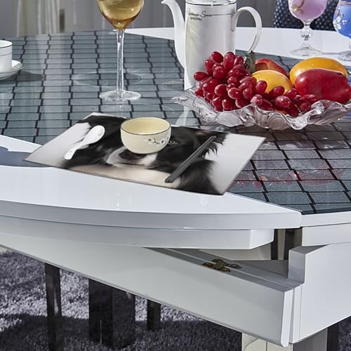 Sets de table Border Collie pour repas de fête et cuisine