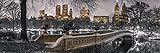 empireposter New York - Slim-Poster - Central Park - Bow 
