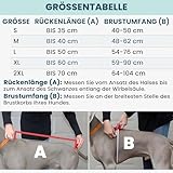 DOGOPAL Regenmantel Hund wasserdicht für kleine & große Hunde - Gelber Hunderegenmantel mit Reflektorstreifen - Wasserdichter Hundemantel, Regenschutz & Regenjacke (Gelb, XL)