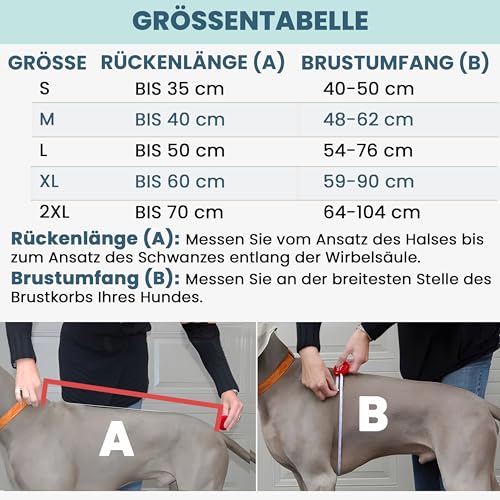 DOGOPAL Regenmantel Hund wasserdicht für kleine & große Hunde - Gelber Hunderegenmantel mit Reflektorstreifen - Wasserdichter Hundemantel, Regenschutz & Regenjacke (Gelb, XL)