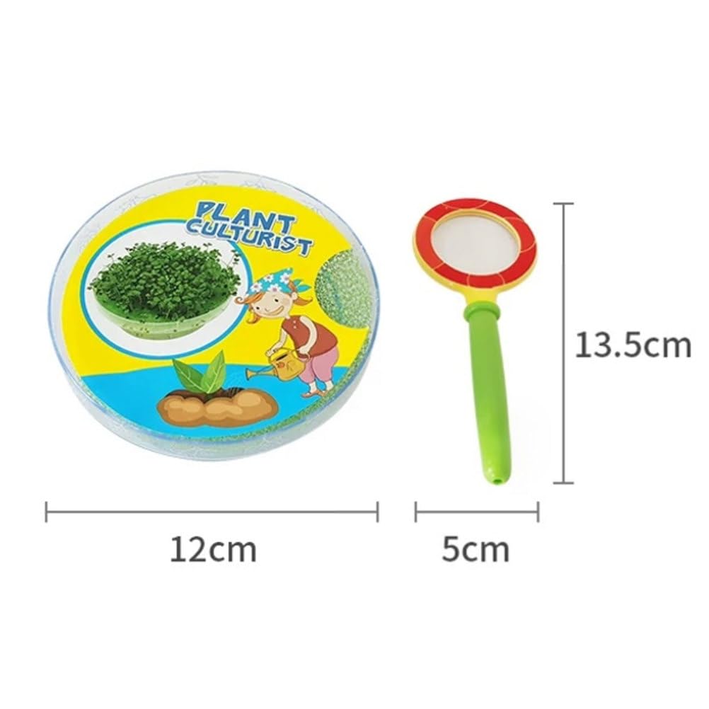 Kit de Observación de Germinación de Semillas Montessori | Caja Transparente para Ver el Crecimiento de Plantas con Lupa para Niños Juguete Educativo de Botánica STEM