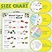Honoson 6 Pcs Blood Type O Food O Blood Type Chart Diet Food List Grocery List to Eat Guide Nutritional Diet for Wall Room Kitchen Fridge Nutrition Educational