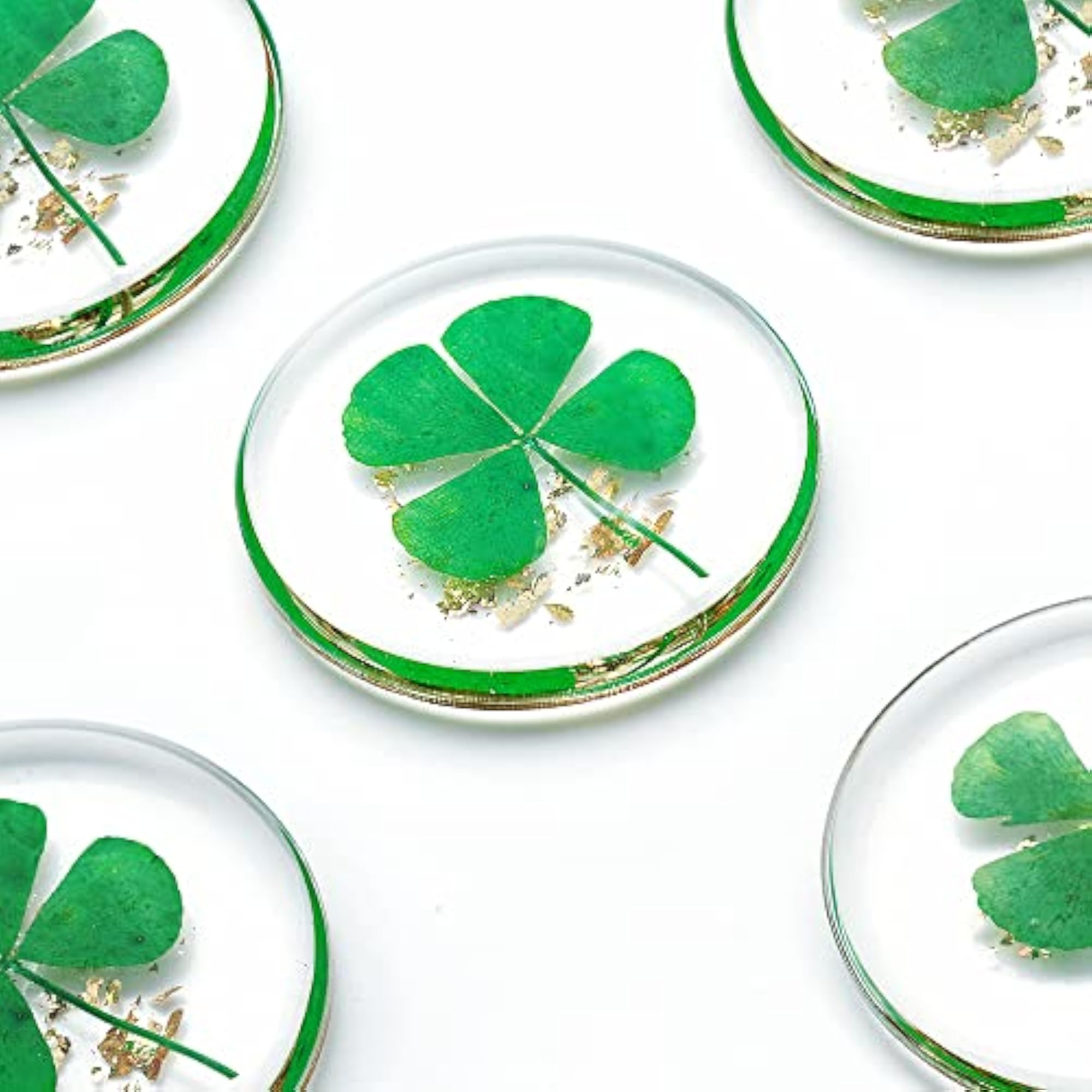 Real Four Leaf Clover Good Luck Charm, Gift for Family