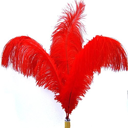 KOLIGHT Lot de 10 plumes d'autruche rouges 30-35 cm Cover