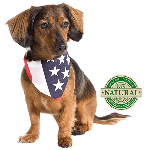Vet's Best Anti-Flea Spray Shampoo | Flea Treatment for Dogs | Plant-Based Formula | 16 oz Ounces - Image 4